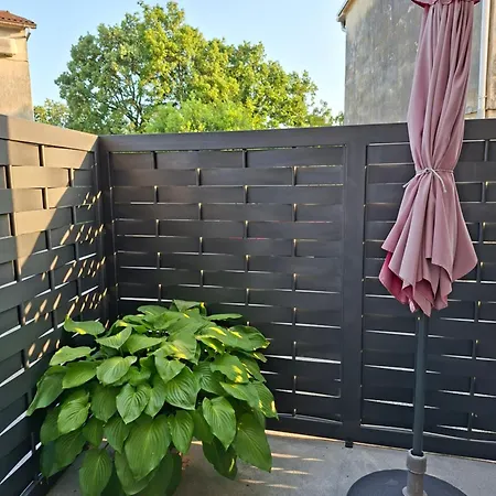 Guest house Sandra 3*